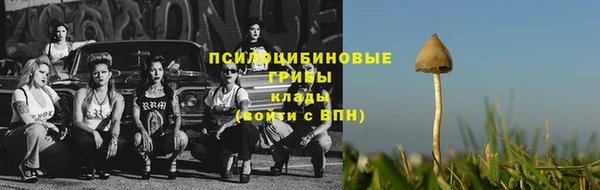 мескалин Заволжье