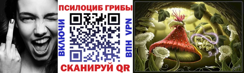 Галлюциногенные грибы Psilocybe  Купить закладки  Ельня 